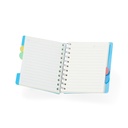 Caderno com Divisórias