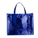 Sacola Metalizada 50x45cm (G)